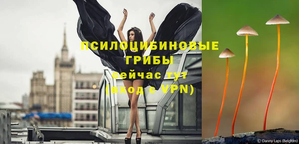 ECSTASY Алзамай